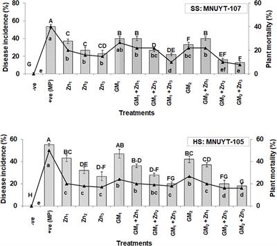 Integrated management of charcoal rot disease in susceptible genotypes of mungbean with soil application of micronutrient zinc and green manure (prickly sesban)